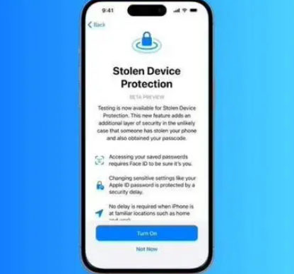庆阳苹果授权维修店分享被盗设备保护功能开启方法 