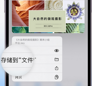 庆阳apple维修中心分享iPhone文件应用中存储和找到下载文件