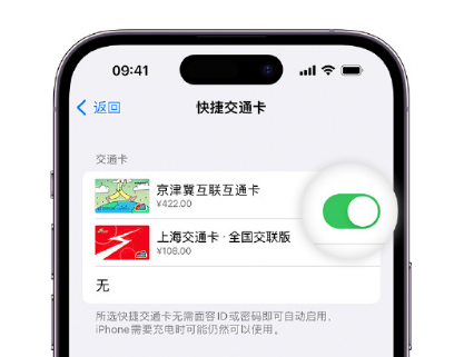 庆阳apple维修点分享iPhone上更换Apple Pay快捷交通卡手绘卡面 