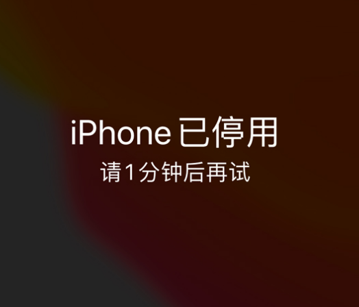 庆阳苹果手机维修分享:iPhone 显示“不可用”或“已停用”怎么办？还能保留数据吗？ 