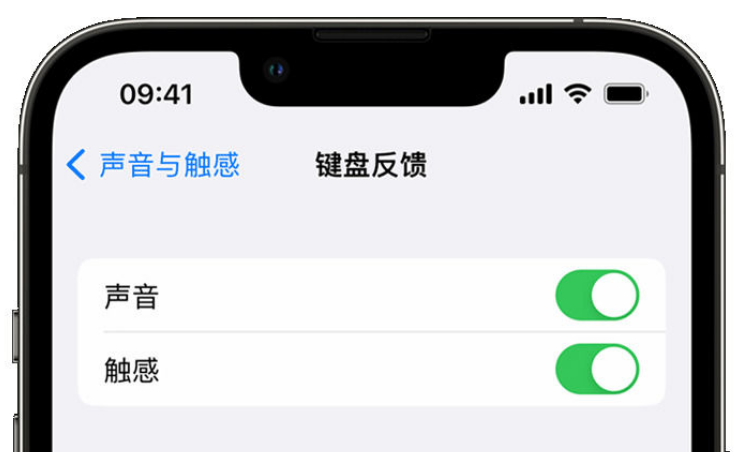 庆阳苹果手机维修分享iPhone 14触感键盘使用方法 