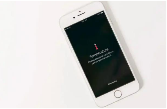 庆阳苹果手机维修分享iPhone 手机发热如何快速降温 