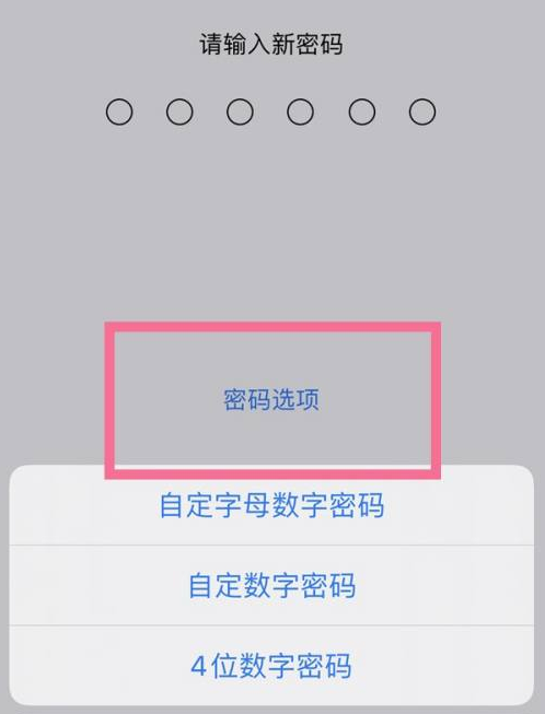 庆阳苹果14维修分享iPhone 14plus设置密码的方法 