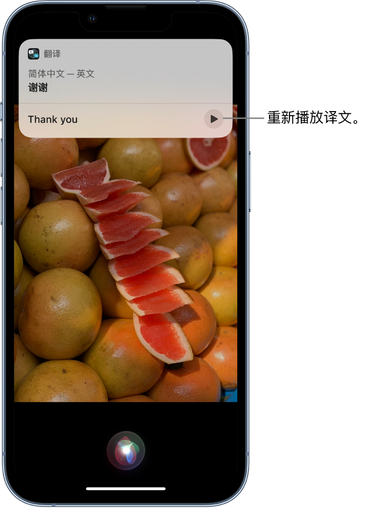 庆阳苹果14维修分享 iPhone 14 机型中使用 Siri：了解 Siri 能帮你做什么 