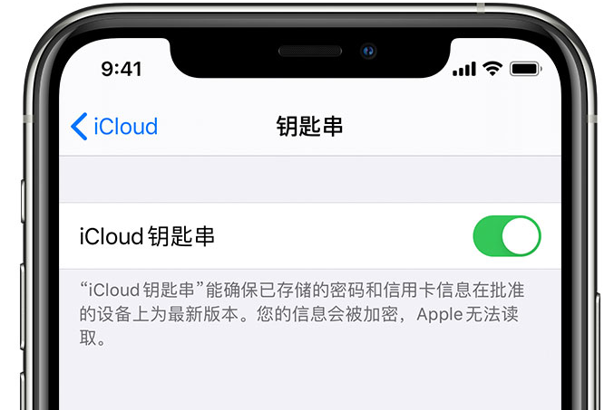 庆阳苹果手机维修分享在 iPhone 上开启 iCloud 钥匙串之后会储存哪些信息 