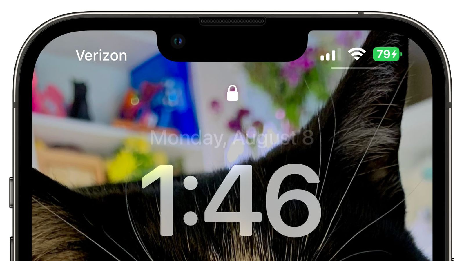庆阳苹果手机维修分享iOS 16 beta 5 支持状态栏显示电池百分比，如何开启？支持哪些机型 