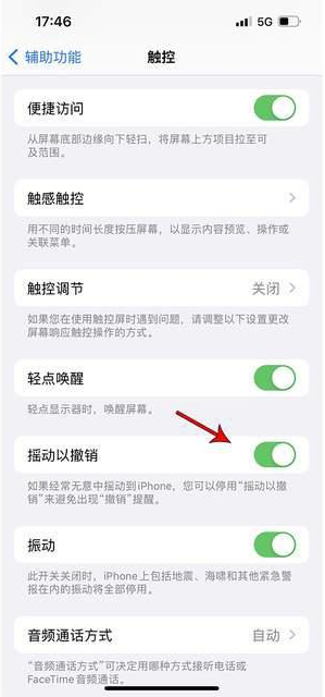 庆阳苹果手机维修分享iPhone手机如何设置摇一摇删除文字 