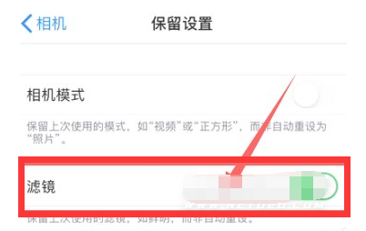 庆阳苹果13维修分享iPhone13拍照有绿点是怎么回事 