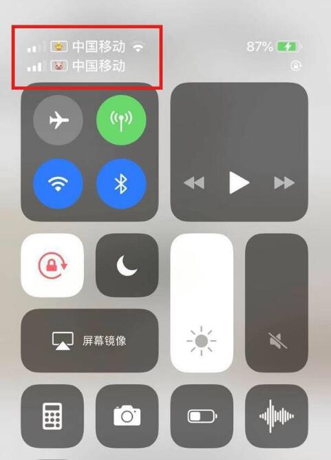 庆阳苹果手机维修分享为 iPhone 12 双卡设置标签 