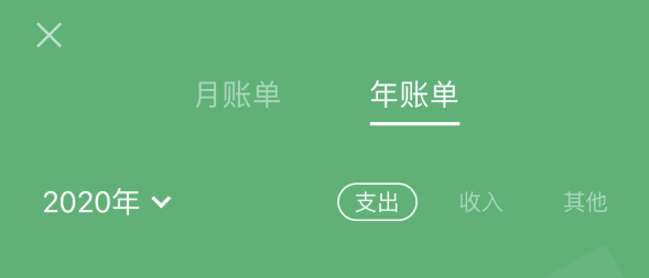庆阳苹果手机维修分享如何在 iPhone 上查看支付宝和微信年支出账单 