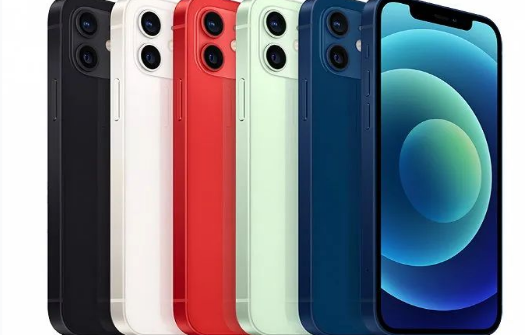 庆阳苹果维修点分享iPhone12 Pro Max进水维修 
